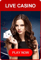 Play live casino now