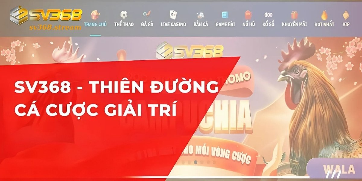 SV368 đá gà hội tụ kho game đỉnh cao & chất lượng